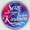 Baha'i Seize Kindness