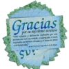 SPANISH Gracias por servicio (Thank You) – Teaching Cards
