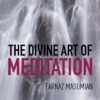 Divine Art of Meditation