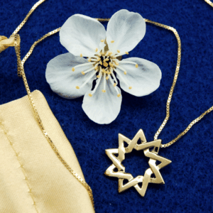 Small Baha'i Star in gold-plated Sterling on a vermeil box chain