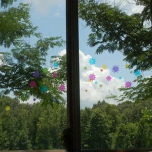 Window Stickers on my sunroom windows