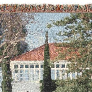 Detail showing texture