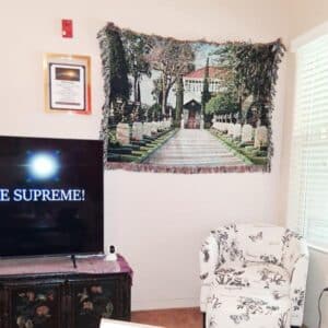 The first tapestry I sold, in place using push pins